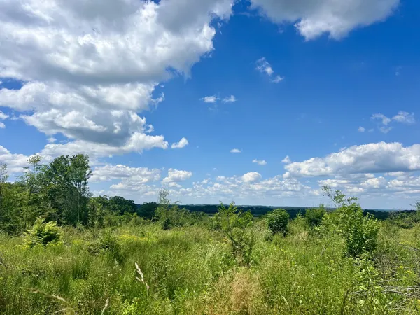 Terrain en individuel 7311 m²