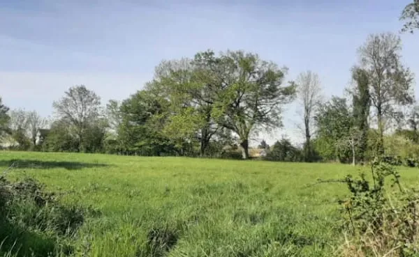 Maison neuve 4 pièces 90 m²