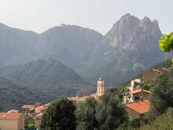 Terrain 1037 m²