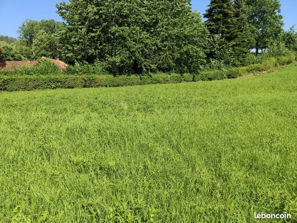 Magnifique parcelle terrain 1 161 m²