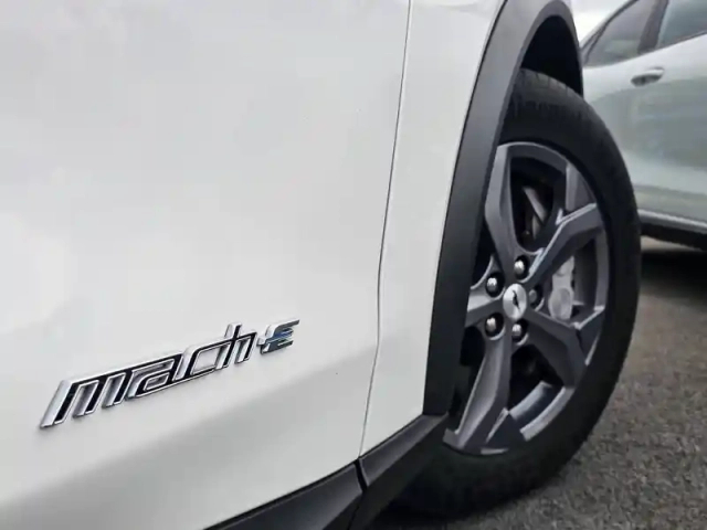 Ford Mustang mach-e standard range 72,6 kwh 269 — photo 22