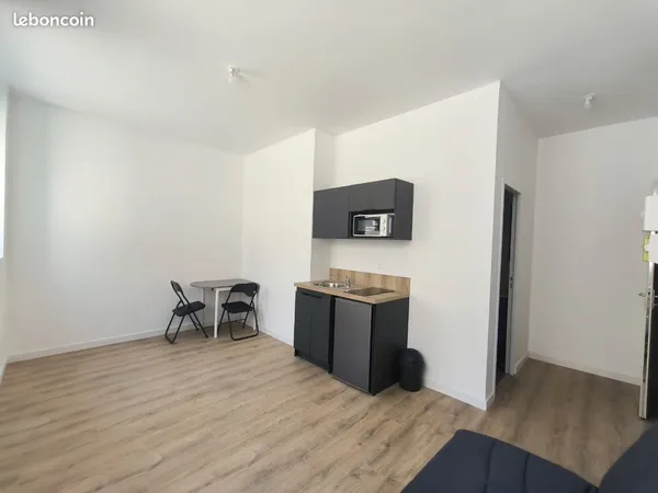 Appartement Location Saint-Étienne 1p 20m² 420€