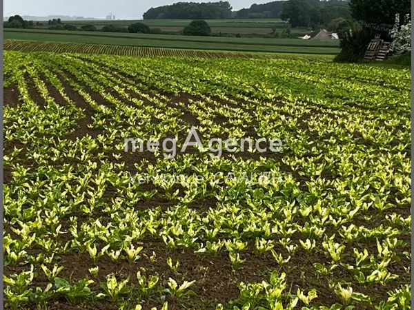 Terrain constructible à la campagne