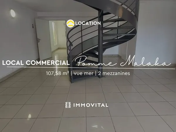À LOUER LOCAL PROFESSIONNEL / COMMERCIAL 107,58 M2 DAMENCOUR