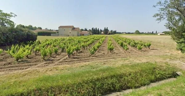 A vendre : Terrain à bâtir VIOLES ( 84150)