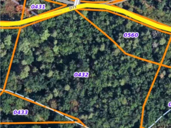 A vendre parcelle bois chêne presque 2 hectares