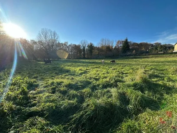 Terrain à bâtir