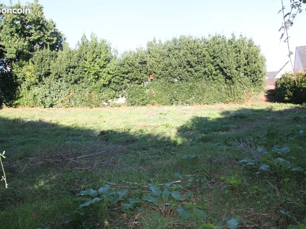 Terrain constructible