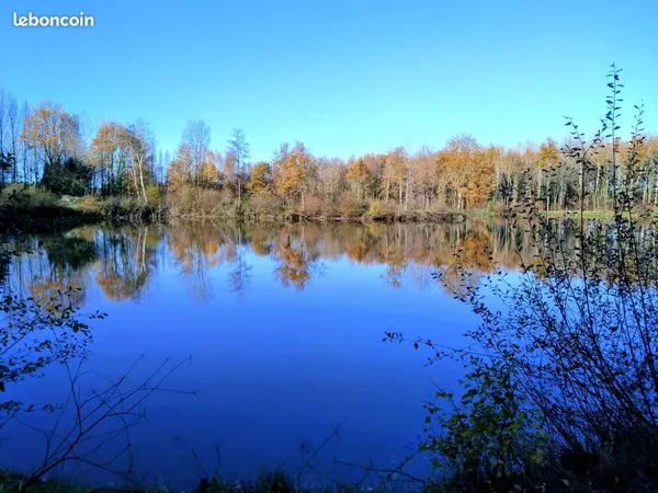 Terrain de loisir avec étang