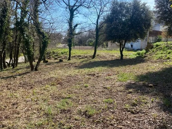 Terrain 970 m²