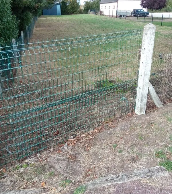 Photo 3