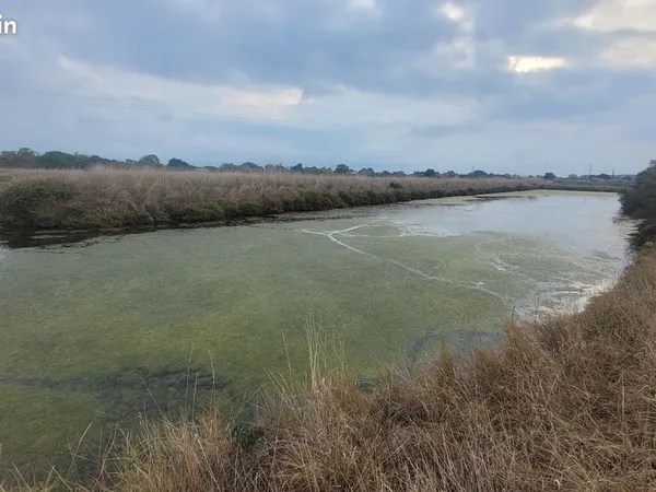 Marais à vendre au Château d'Oleron