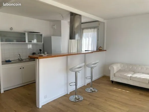 Appartement T3 colocation