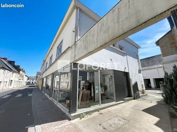 Immeuble 10 pièces 280 m²