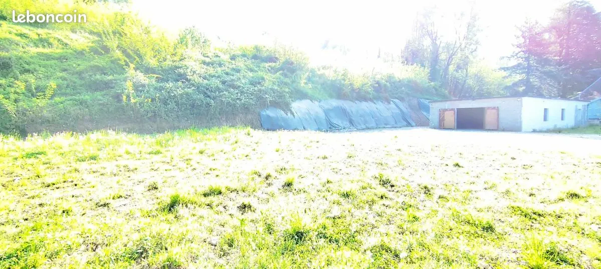 Photo 4
