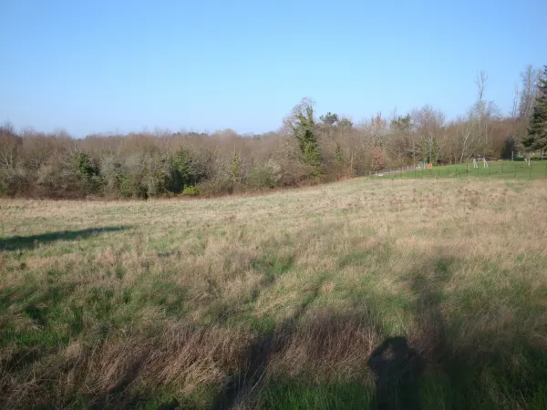 Terrain 1503 m²