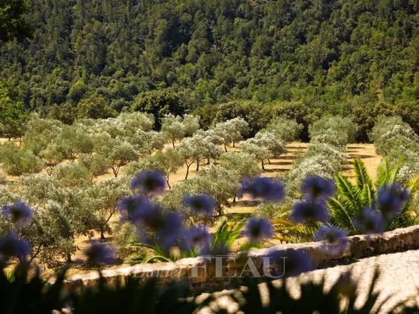 Provence verte - Propriété unique