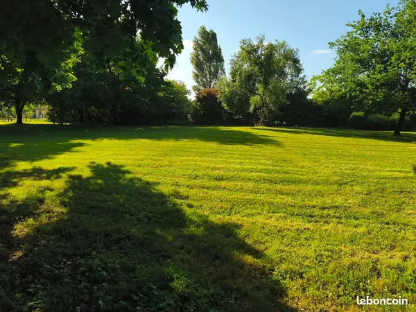 Terrain constructible