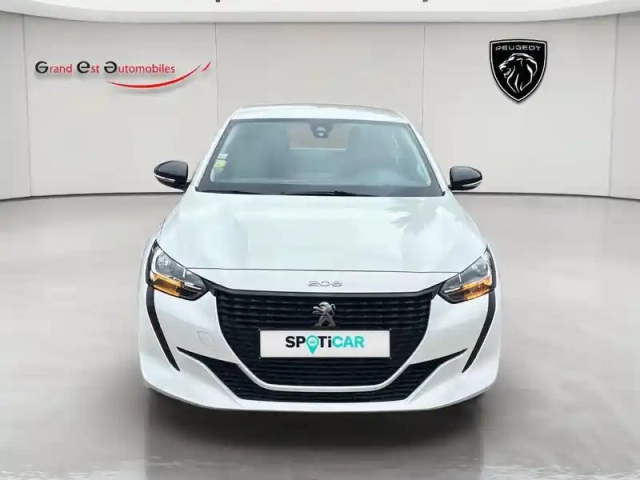 Peugeot 208 affaire 1.5 bluehdi 100 premium 2 places — photo 9