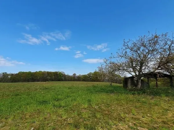 Terrain 9090 m²