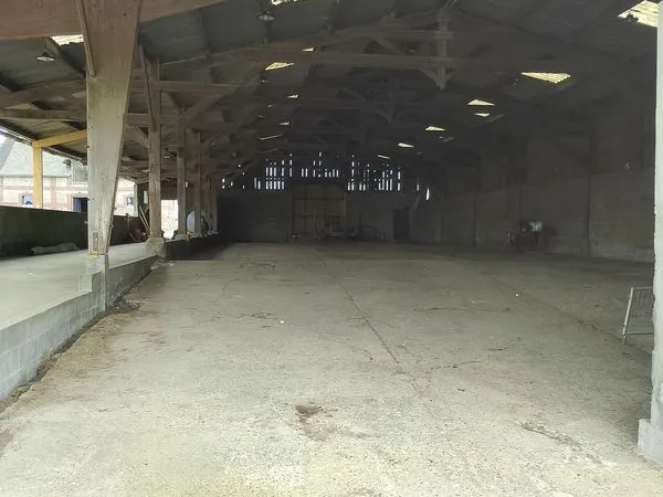 Local d’activité et entrepôt Vente Louvetot 1p 320m² 640€