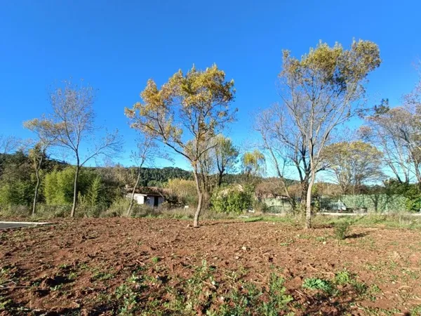 Terrain 393 m²