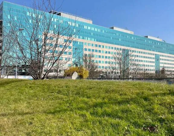 Bureau 545 m²