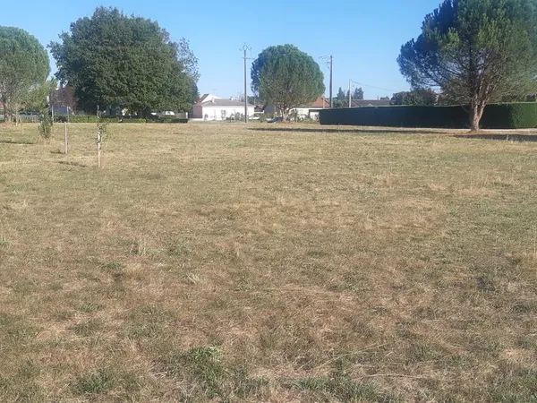 2 Terrains
