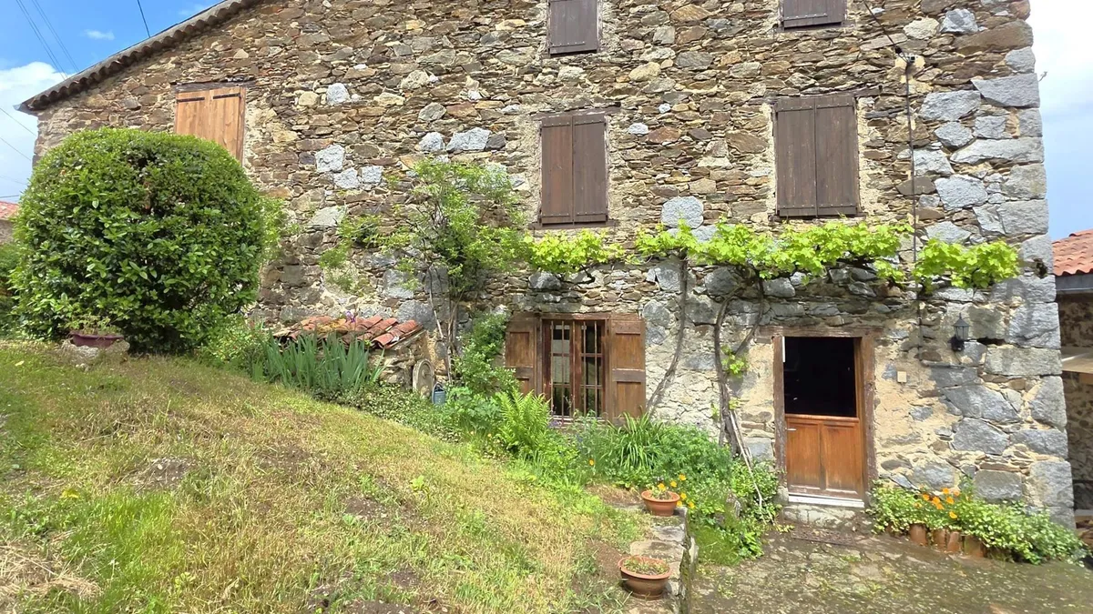 Photo 1