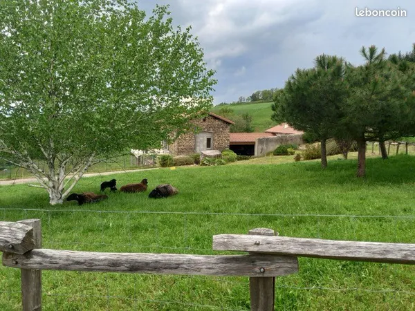 Maison au coeur de la campagne stéphanoise