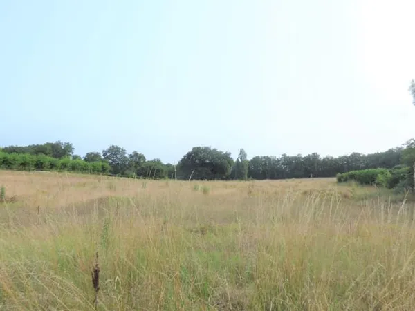 Terrain 8984 m²