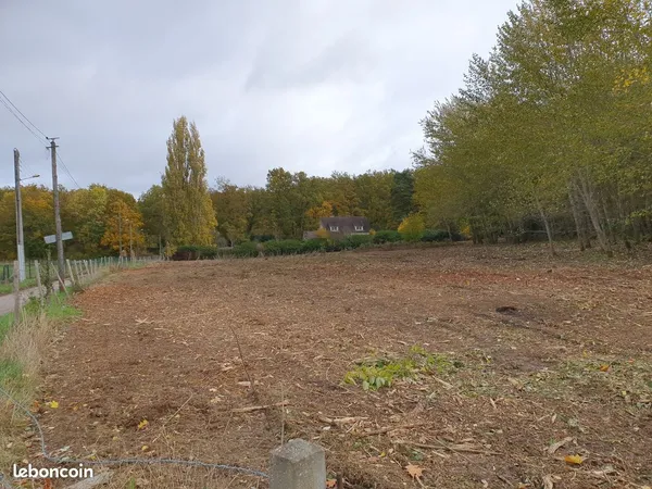 Terrain de 8 000m2 sur 2 ha ou 3100 M2