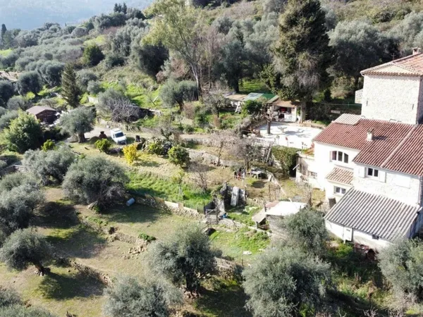 Maison provençale au milieu des oliviers