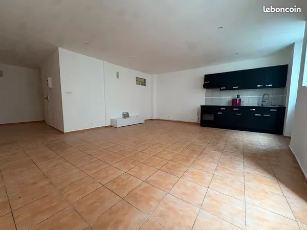 T3 de 69 m2 plein Centre