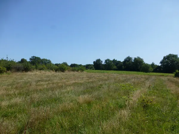 Terrain Sadirac 780 m² viabilisé