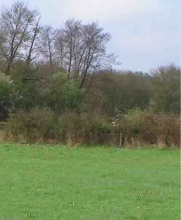Terrain agricole