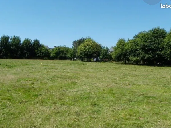 Terrain constructible