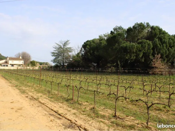 Terrain constructible 800 à 1000 m2 à Tresques (30)
