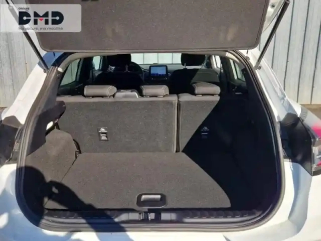 Ford Puma 1.0 flexifuel e85  125ch s&amp;s mhev titanium — photo 12