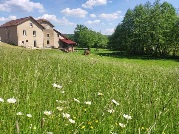 Vends ancien Moulin 185m²