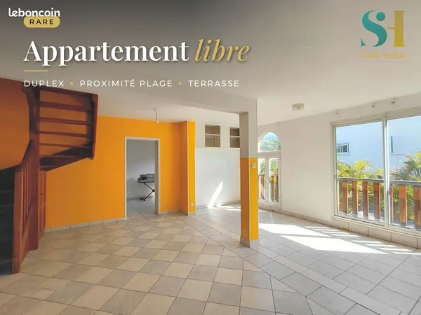 Duplex 5 pièces 88 m²