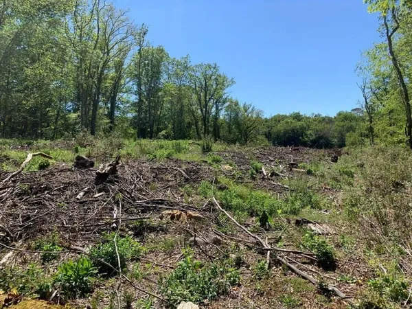 A vendre terrain constructible à SAINT CIRQ MADELON