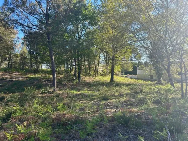 Terrain 1400 m²