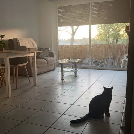 Appartement à louer CARMAUX