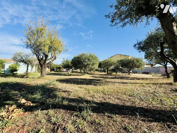 Terrain 438 m²