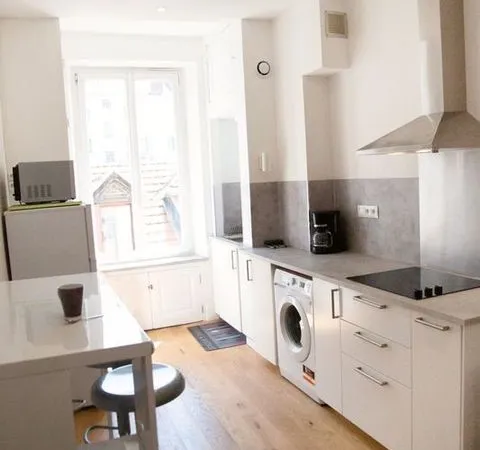 Appartement de 47m2 à louer sur Grenoble