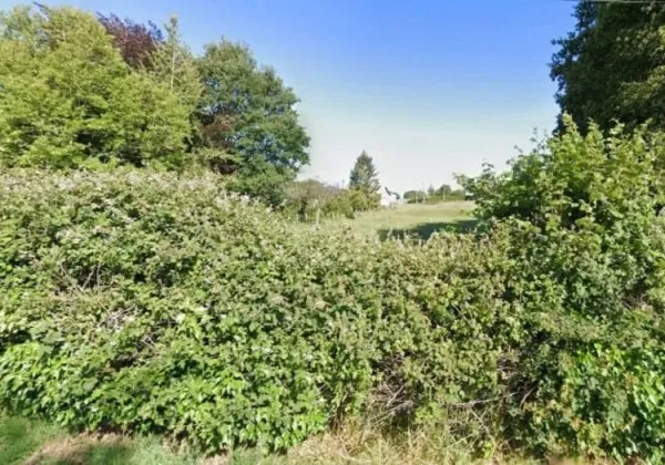 Terrain 651 m²
