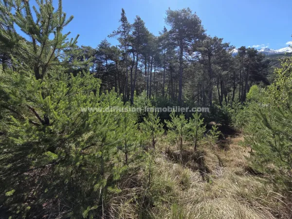Terrain constructible 2217 m²