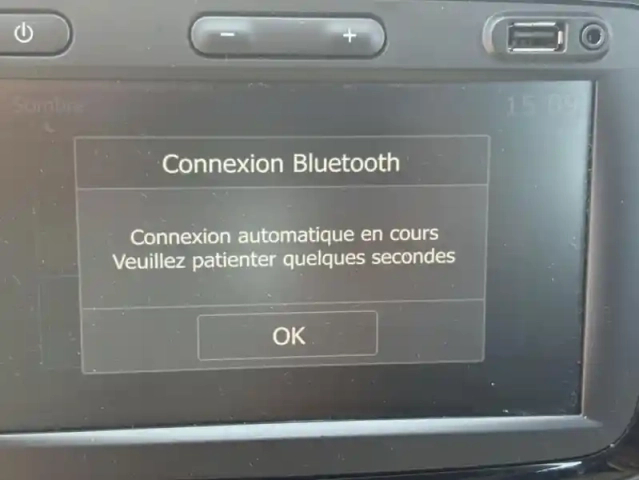 Dacia Lodgy 5 places stepway tce 130 fap e6u — photo 26
