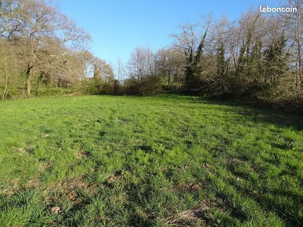 Terrain 1 793 m² Mussidan